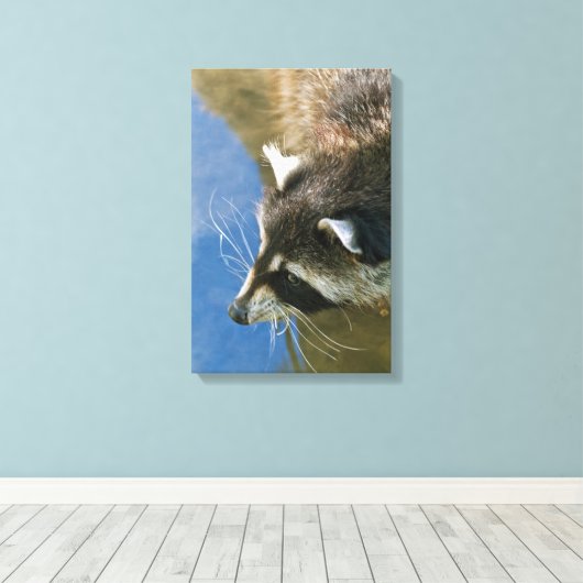 Wasbeer Canvas Afdruk (Insitu (Houten vloer))