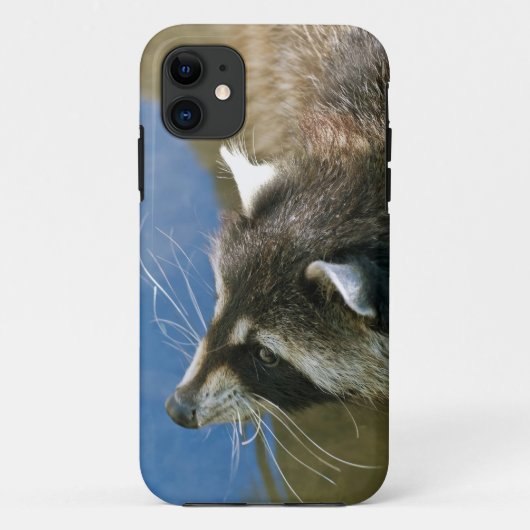 Wasbeer Case-Mate iPhone Case (Achterkant)