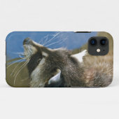 Wasbeer Case-Mate iPhone Case (Achterkant (horizontaal))