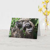 Wasbeer - de Drie Amigo's Kaart (Gele Bloem)