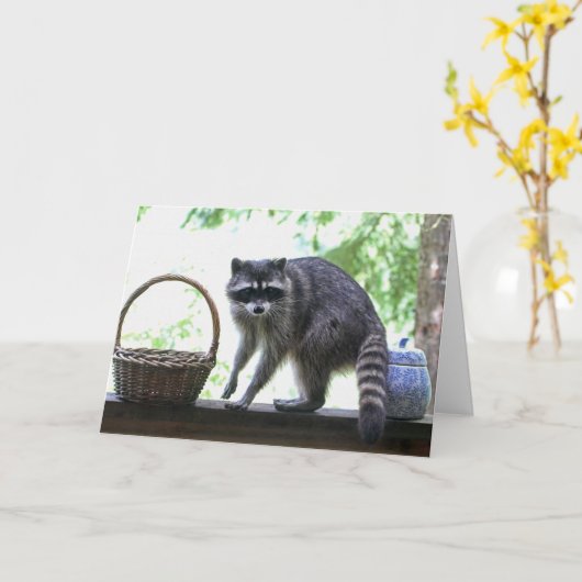 Wasbeer en koekjestrommel kaart (Gele Bloem)