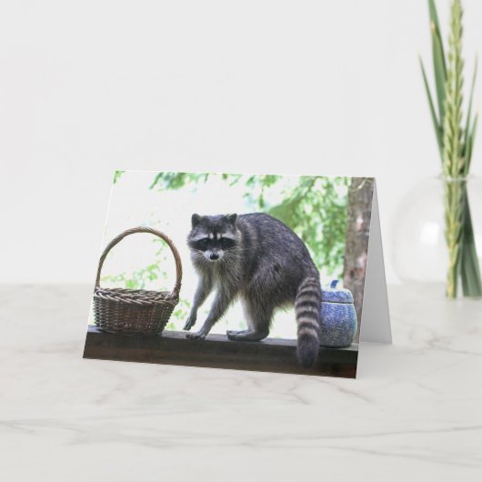 Wasbeer en koekjestrommel kaart (Voorkant)