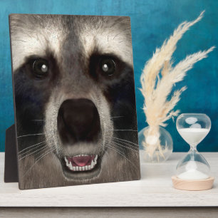 Wasbeer Fotoplaat
