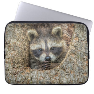 Wasbeer genesteld in een holle boom laptop sleeve