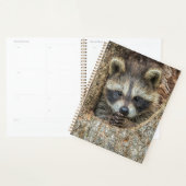 Wasbeer genesteld in een holle boom planner (Display)