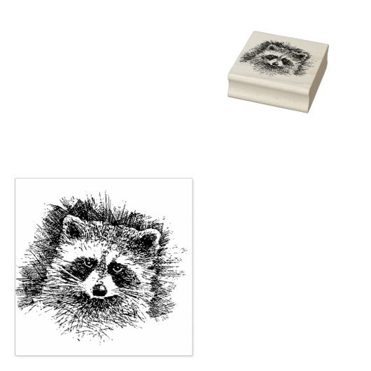 wasbeer gezicht nieuwe gemonteerde rubberen stempe rubberstempel (Gestempeld)