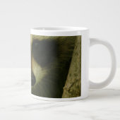 wasbeer grote koffiekop (Rechts)