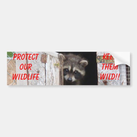 Wasbeer Houd Ze Wild!! Bumpersticker (Voorkant)