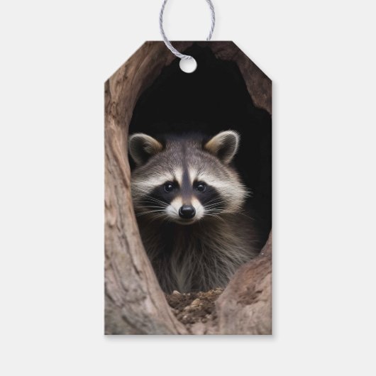 Wasbeer in boomholte cadeaulabel (Voorkant)