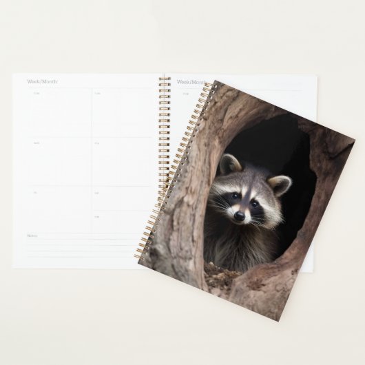 Wasbeer in boomholte planner (Display)