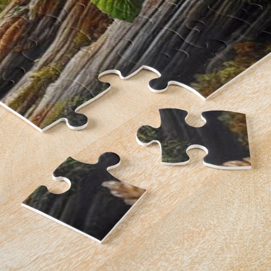 Wasbeer in de Bossen Natuur Legpuzzel (Zijkant)