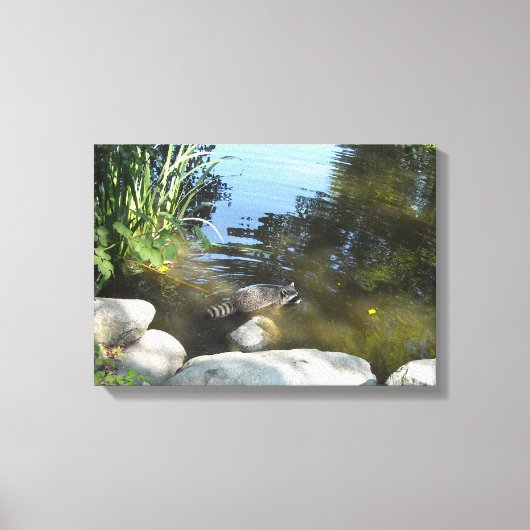 Wasbeer in de Stroom Canvas Afdruk (Voorkant)