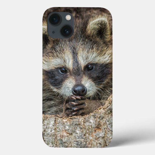 Wasbeer in een holle boom Case-Mate iPhone case (Achterkant)