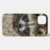 Wasbeer in een holle boom Case-Mate iPhone case (Achterkant (horizontaal))