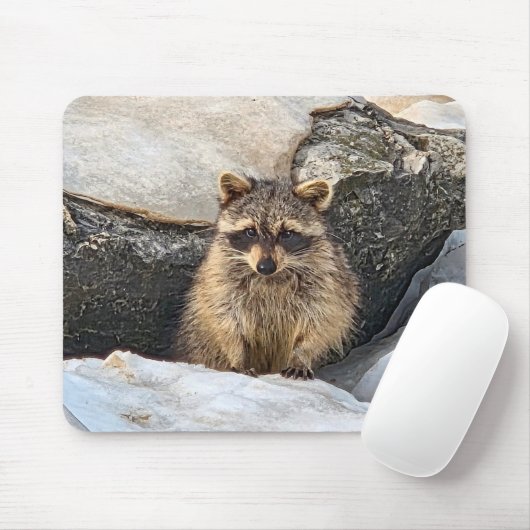 Wasbeer in strandstenen in de winter muismat (Met muis)