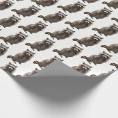 Wasbeer Inpakpapier Rol (Hoek)