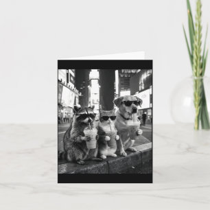 Wasbeer Kat Hond Drinkt IJskoude Koffie Grappig Di Kaart