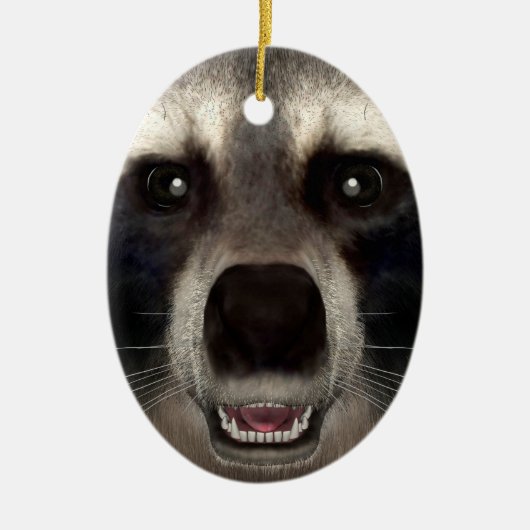 Wasbeer Keramisch Ornament (Voorkant)