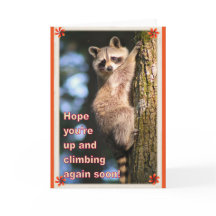 Wasbeer krijgt een goede kaart.