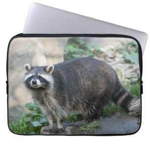 Wasbeer Laptop Sleeve