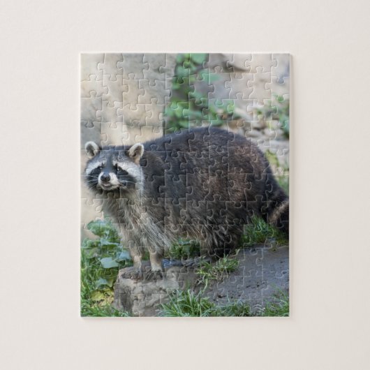 Wasbeer Legpuzzel (Verticaal)