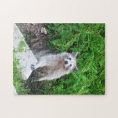 Wasbeer liefhebbers Wildlife Jigsaw Puzzel (Horizontaal)