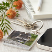 Wasbeer maakt direct oogcontact sleutelhanger (Voorkant Rechts)