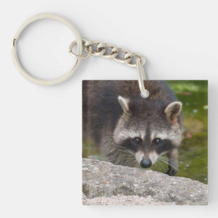 Wasbeer maakt direct oogcontact sleutelhanger