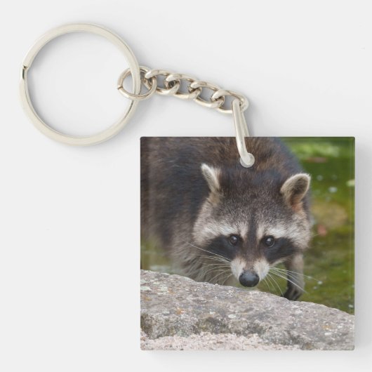 Wasbeer maakt direct oogcontact sleutelhanger (voorkant)