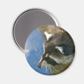 Wasbeer Magneet (Voorkant / Achterkant)