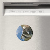 Wasbeer Magneet (Insitu (Vaatwasser))