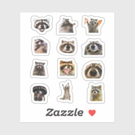 Wasbeer Meme Grappige Sticker Set Bundel