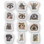 Wasbeer Meme Grappige Sticker Set Bundel (Voorkant)
