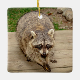 Wasbeer met een chip keramisch ornament