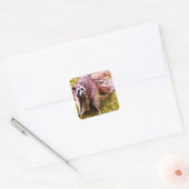 Wasbeer met een Fleur de Lis Sticker (Envelop)