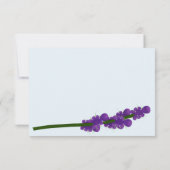 Wasbeer met lavendel bedankkaart (Achterkant)