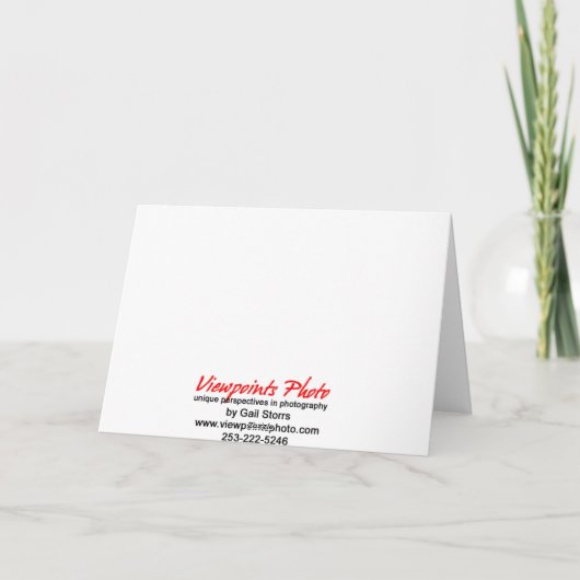 Wasbeer moeder & baby's kaart (Achterkant)