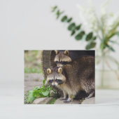 Wasbeer Moeder Bescherm Baby Briefkaart (Staand voorkant)