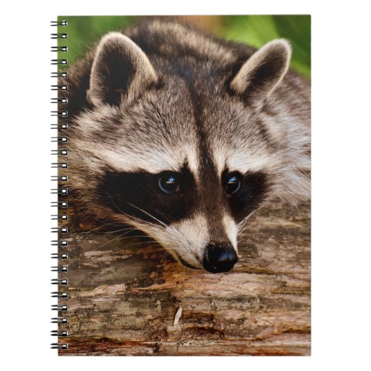 Wasbeer Notitieboek (Voorkant)