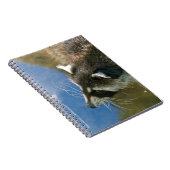 Wasbeer Notitieboek (Rechterzijde)