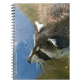 Wasbeer Notitieboek (Voorkant)