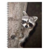 wasbeer notitieboek (Voorkant)