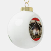 wasbeer op keramische balornament bal ornament (Links)