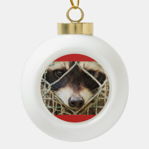 wasbeer op keramische balornament bal ornament