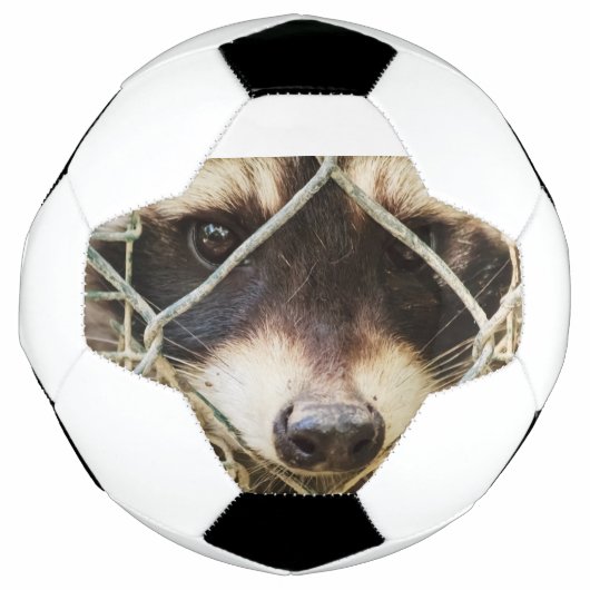 wasbeer op voetbal (Voorkant)