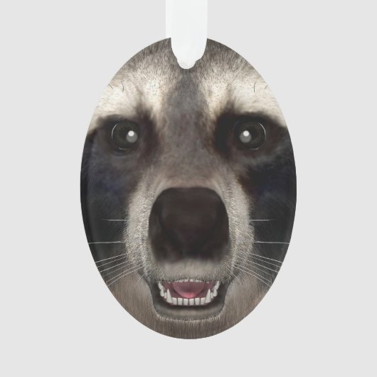 Wasbeer Ornament (voorkant)