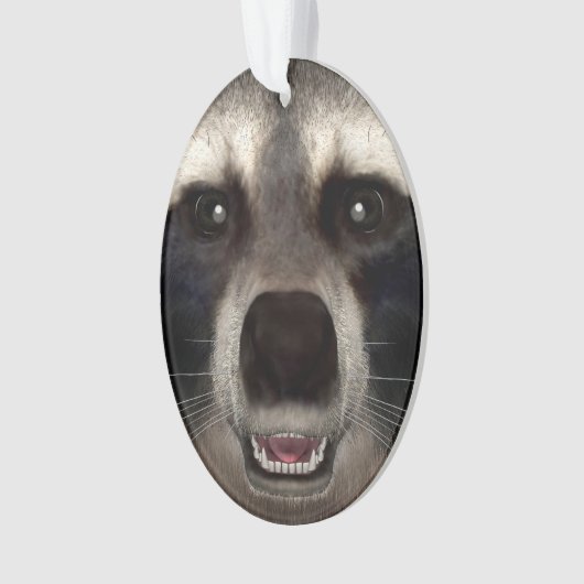 Wasbeer Ornament (voorkant)