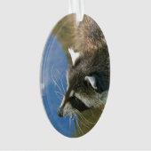 Wasbeer Ornament (voorkant)