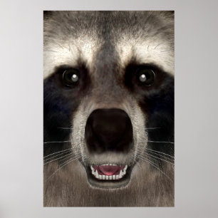Wasbeer Poster