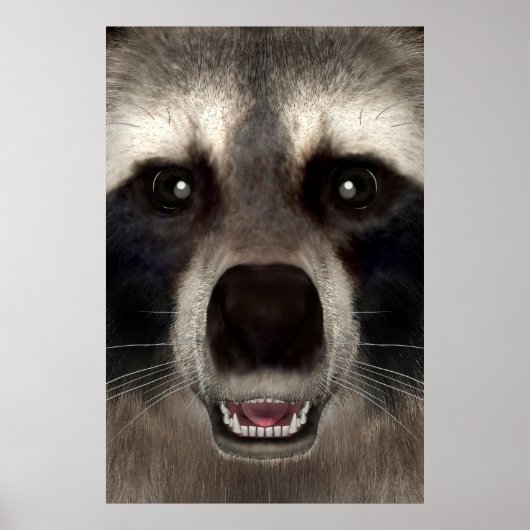 Wasbeer Poster (Voorkant)